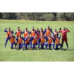 Paraná Clube enfrenta o Botafogo, jogo da volta pela Copa Brasil, na 4ª feira